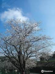 Fujikawa Tenjin (Santuario de Sugawara)