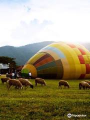 Balloon Chiangmai by Tethering Balloon Thailand