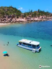 Aquascene Magnetic Island