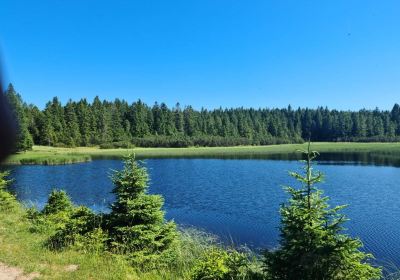 Črno jezero