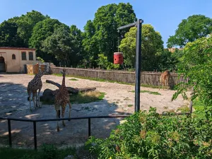 Bioparco