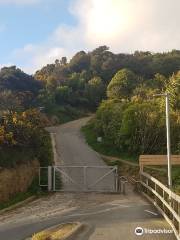 Wainui Lookout