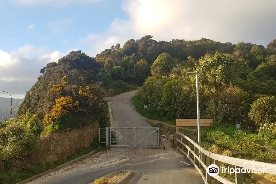 Wainui Lookout