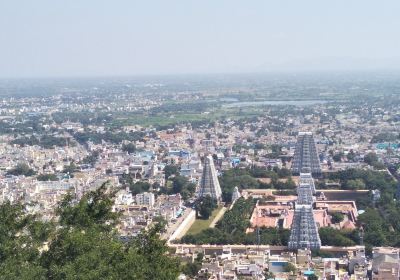 Annamalaiyar Temple View Point