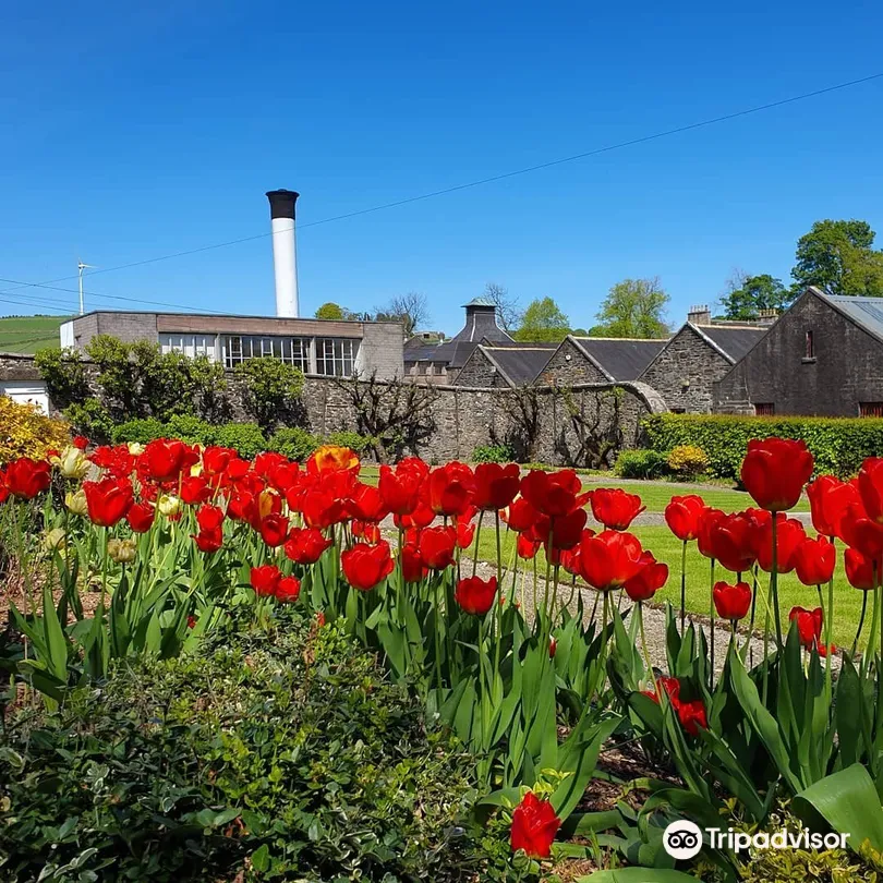 2_The Glendronach Distillery