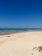 Fingal Head Beach