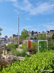 Slessor Gardens