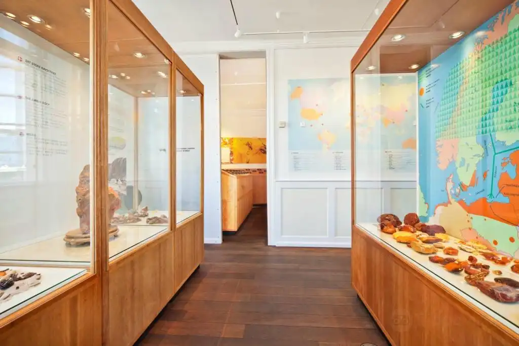 Hotel in zona House of Amber
