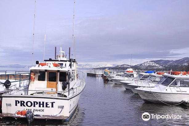 Tahoe Sportfishing