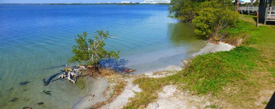 Manatee Sanctuary Park