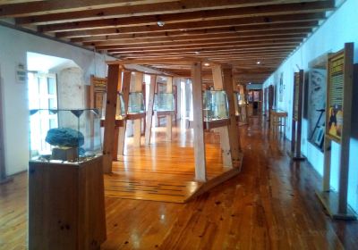 Museo del Ambar