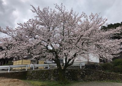 Eikokuji Temple (Yurei-dera)