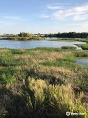 The I-20 Wildlife Preserve & Jenna Welch Nature Study Center