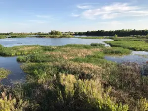 I-20 Wildlife Preserve