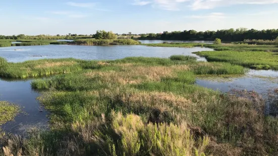 The I-20 Wildlife Preserve & Jenna Welch Nature Study Center