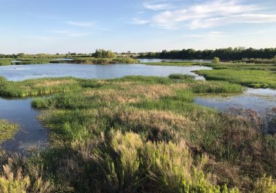 I-20 Wildlife Preserve