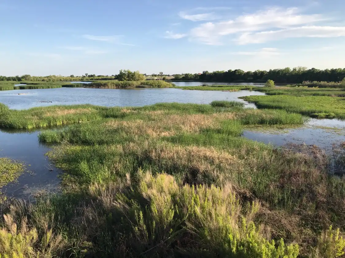 Các khách sạn gần I-20 Wildlife Preserve