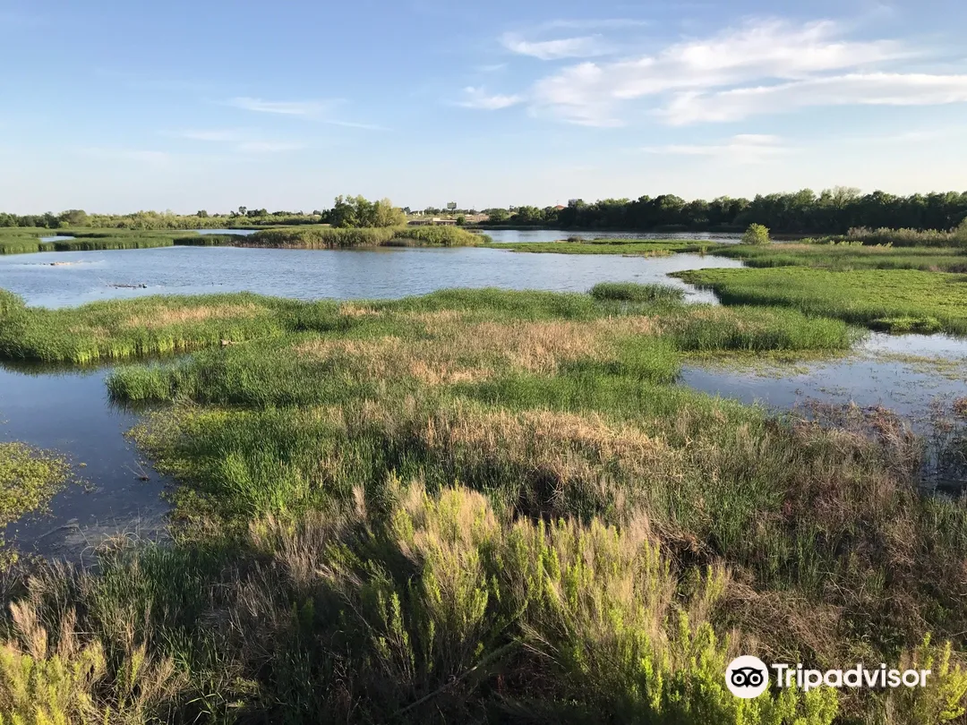 1_The I-20 Wildlife Preserve & Jenna Welch Nature Study Center