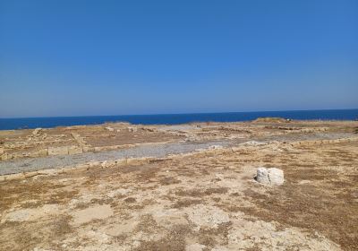 Museo e Parco Archeologico Nazionale di Capo Colonna