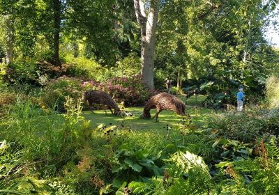 Abbotsbury Subtropical Gardens