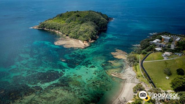 Goat Island Marine Discovery Centre