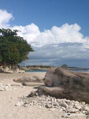 Playa Caleta La Romana
