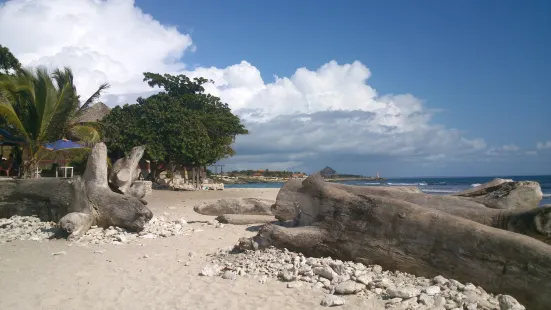 Playa Caleta La Romana