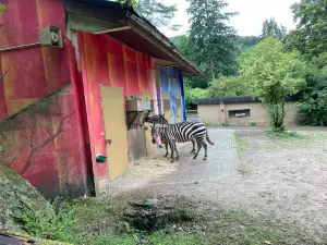 動物園