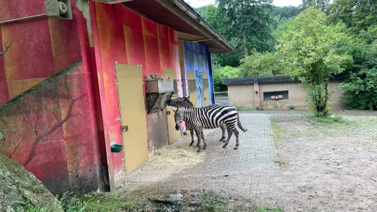 動物園