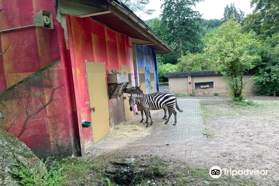 Neunkircher Zoologischer Garten