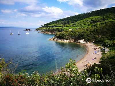 Spiaggia di Malpasso