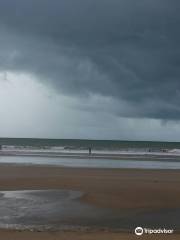 Itaúnas dunes