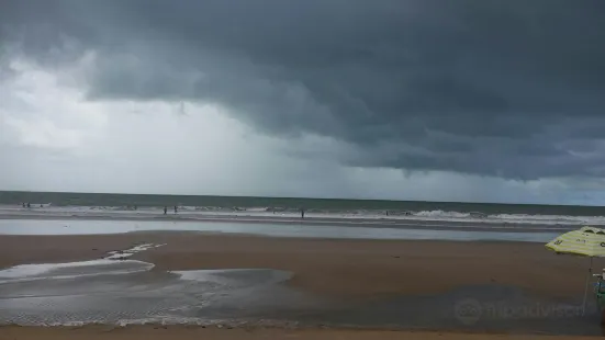 Itaúnas dunes