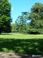 JARDIN Botanique