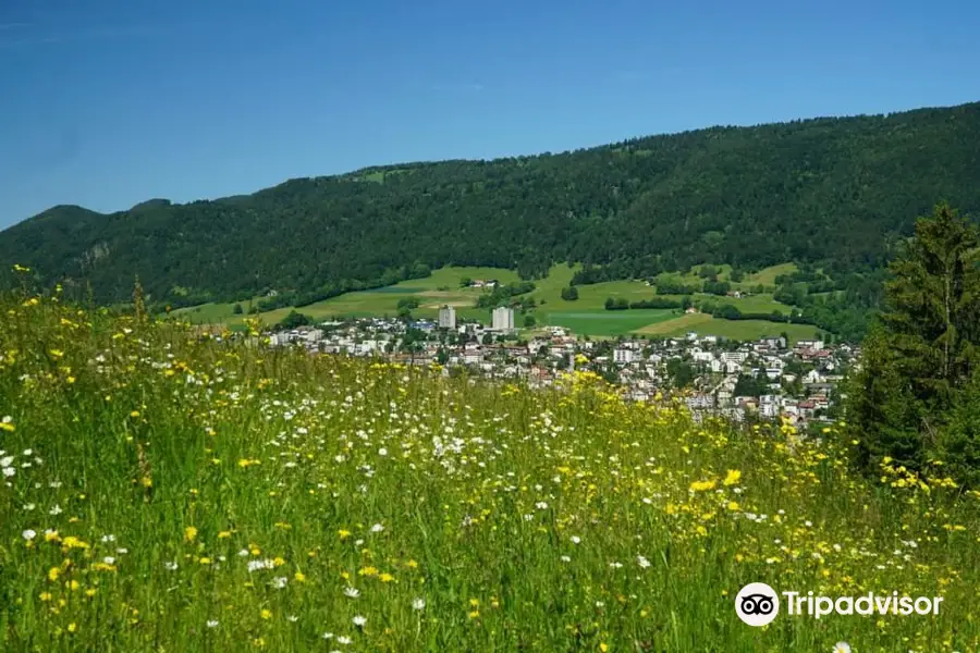 Jura Decouverte Nature