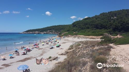 Playa De Binigaus