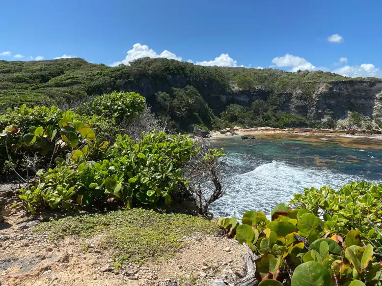 Hotels in Petit-Canal