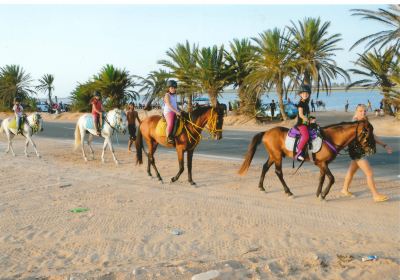 Ranch Adada Djerba