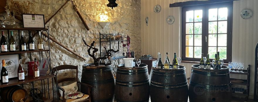 Domaine du Vieil Orme