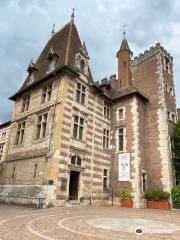 Musee des Beaux-Arts d'Agen