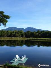 Lagunas Adventures on The Janson Coffee Farm