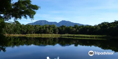Lagunas Adventures on The Janson Coffee Farm