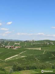 Bruno Rocca vineyard