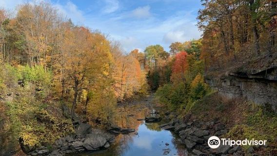 Ball's Falls Conservation Area