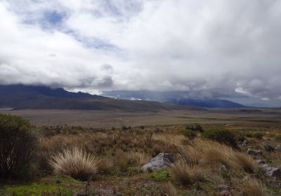 Cotopaxi National Park