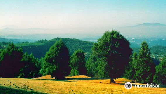 Entoto Park - Main Entrance