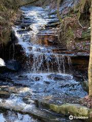 Petit Jean State Park