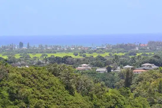 Hotels in Wailua