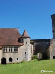 Château médiéval d'Oricourt