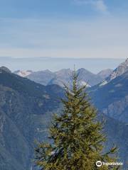 Alpine Eco - Faunistic Observatory